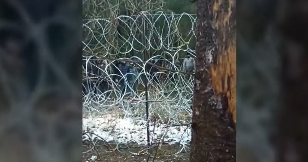 Grupa migrantów forsowała granicę. Rzucali kamieniami i metalowymi rurkami