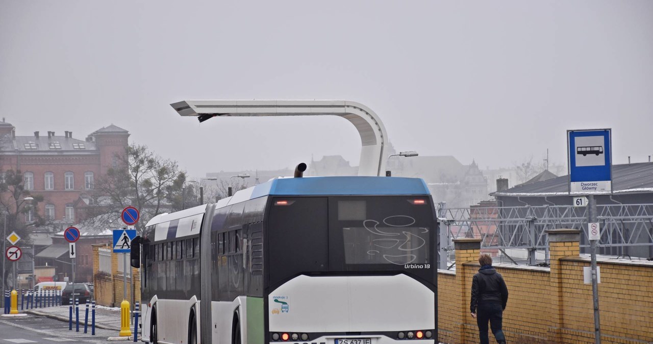 Wyglądają jak dziwne daszki. To ładowarki autobusów