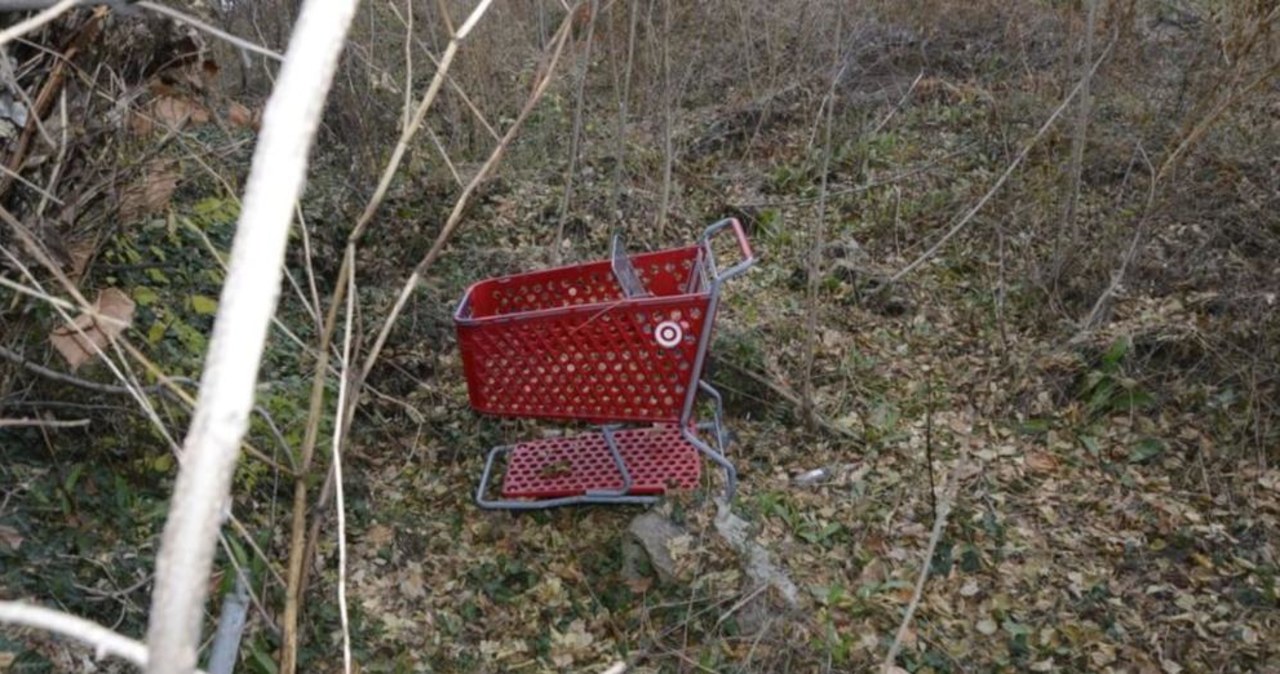 Wabił kobiety do hotelu i mordował. Ciała wywoził w wózku sklepowym
