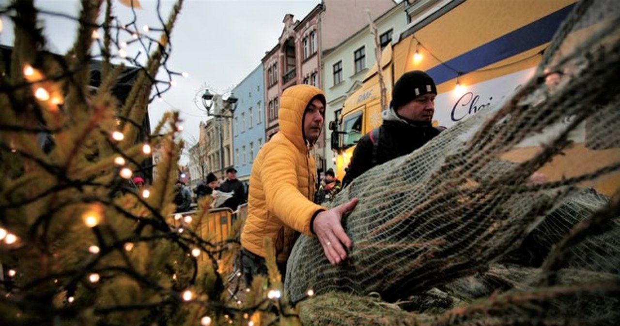 „Choinki pod choinkę”. Odwiedziliśmy Gliwice i Kraków
