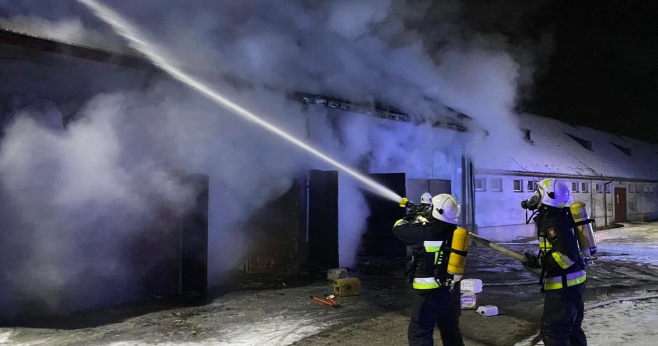 Łódzkie: Pożar w Stadninie Ogierów w Bogusławicach