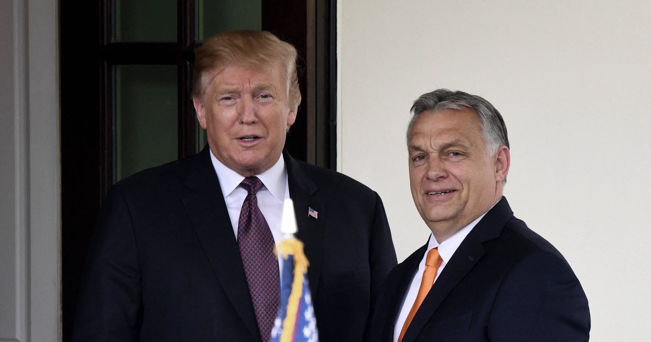 Donald Trump poparł Viktora Orbana przed wyborami na Węgrzech