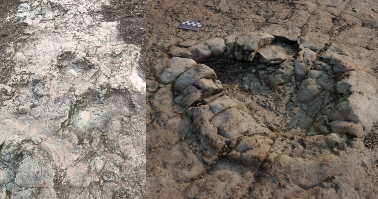 Znaleziono kolejny ślad obecności dinozaurów w Europie