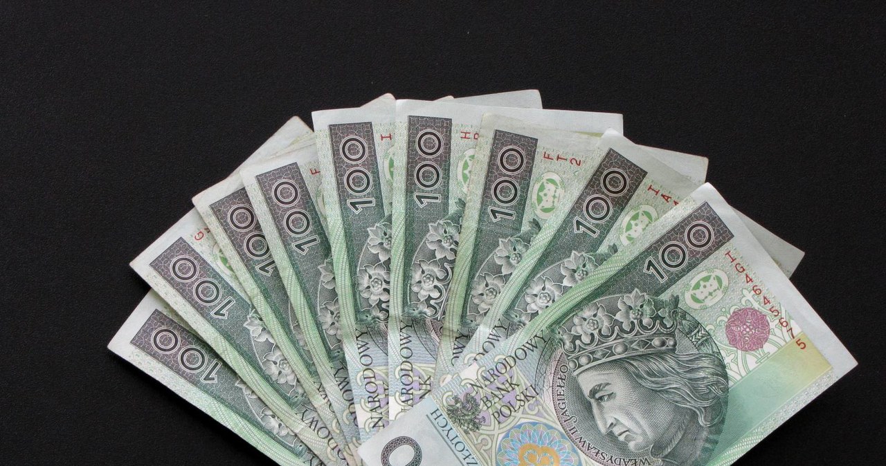 400 osób straciło 20 mln zł. Zatrzymania ws. piramidy finansowej