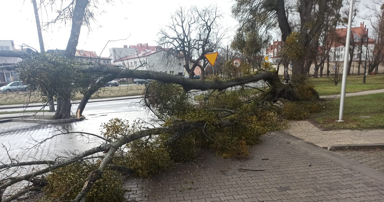 Warmia i Mazury: ​Burza, silny wiatr i ponad 200 interwencji strażaków