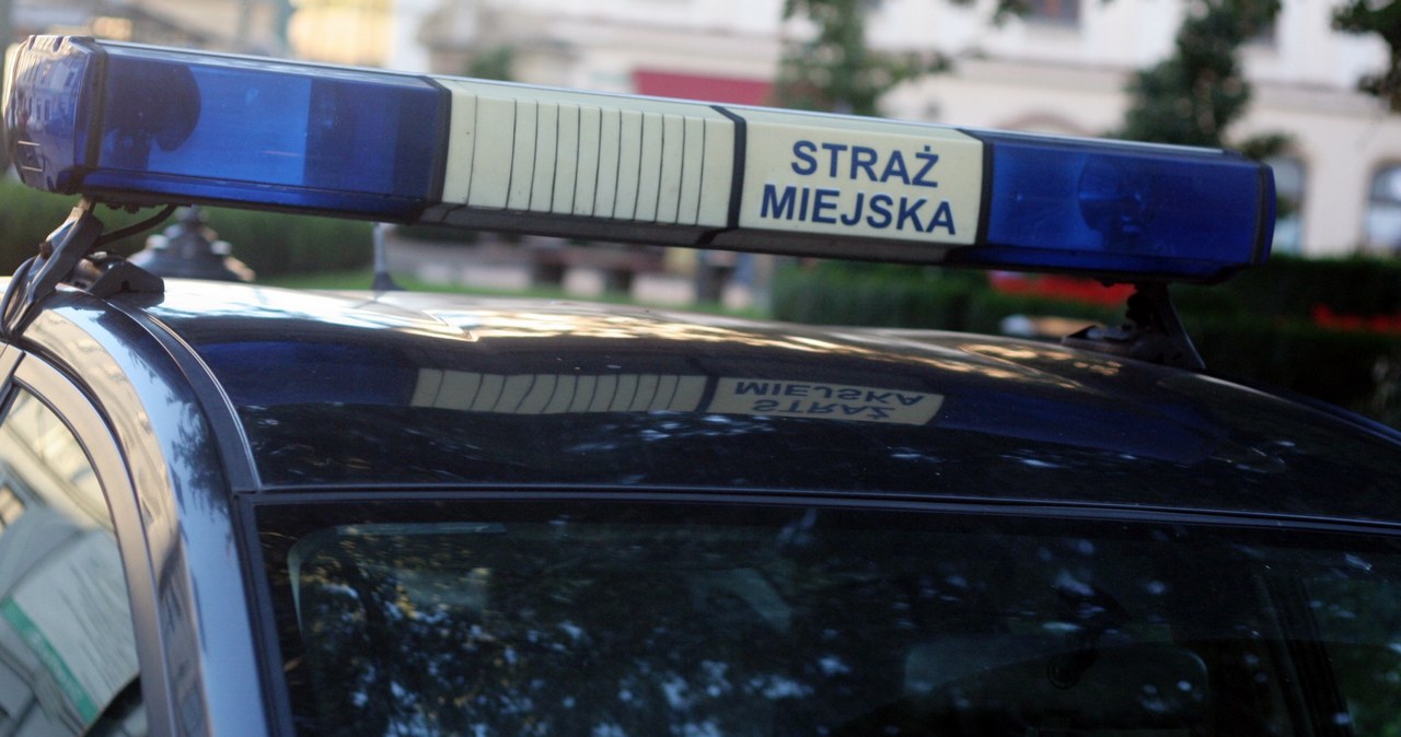 Uratowali bezdomnego. Leżał w starym bunkrze, pod śmieciami