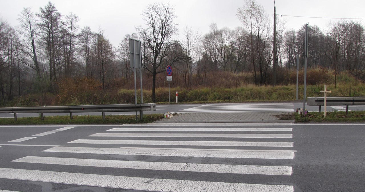 Protest przeciwko szybkiej kolei CPK. Problemy kierowców na „Wiślance”