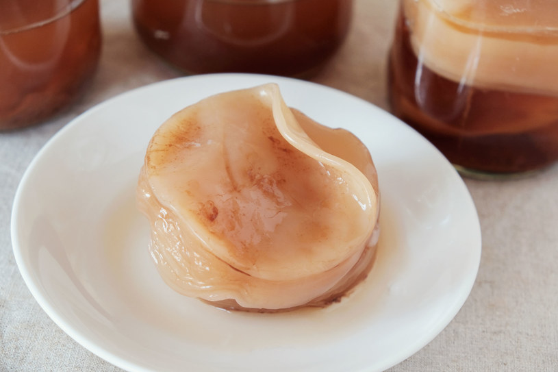 Kombucha: Miała leczyć, ale może zaszkodzić!