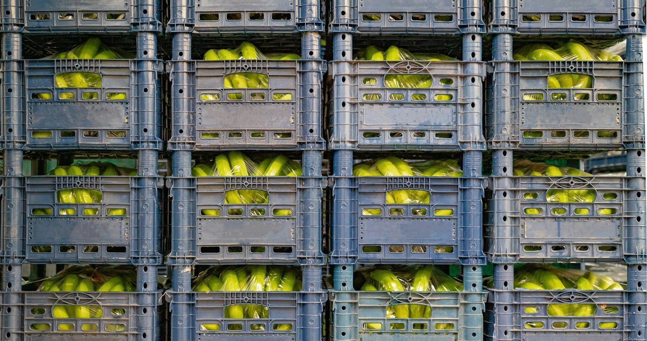 Biały proszek w bananach w kolejnych sklepach w Polsce