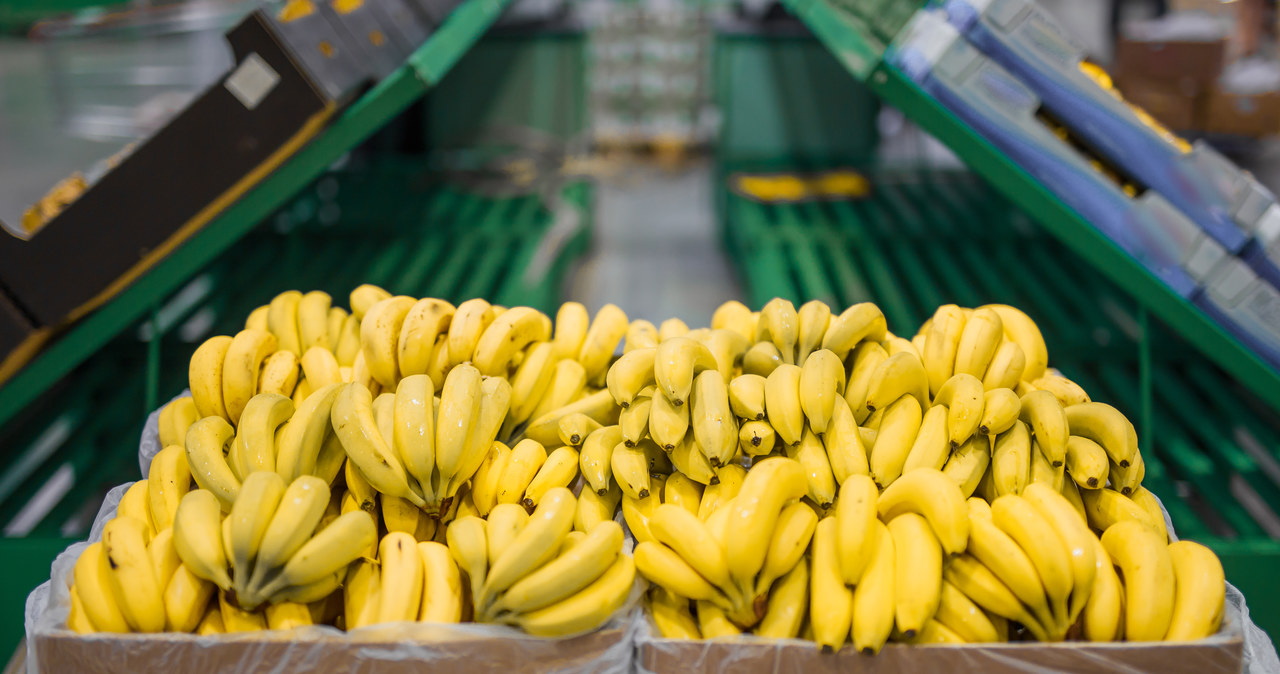 Biały proszek w kartonach z bananami. Prokuratura wszczęła śledztwo