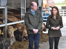 Księżna Kate i książę William wynoszą się z pałacu?! Co się stało?!