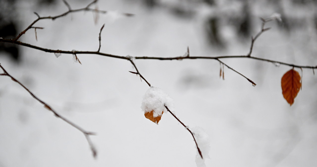 Pochmurno i z opadami. Gdzie spadnie śnieg?