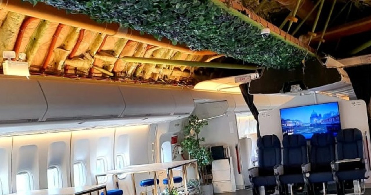 W starym jumbo-jecie powstał klub