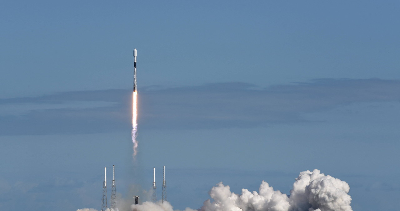 Naukowcy wysłali w kosmos grzyby. Sprawdzą, jak poradzą sobie przy braku grawitacji