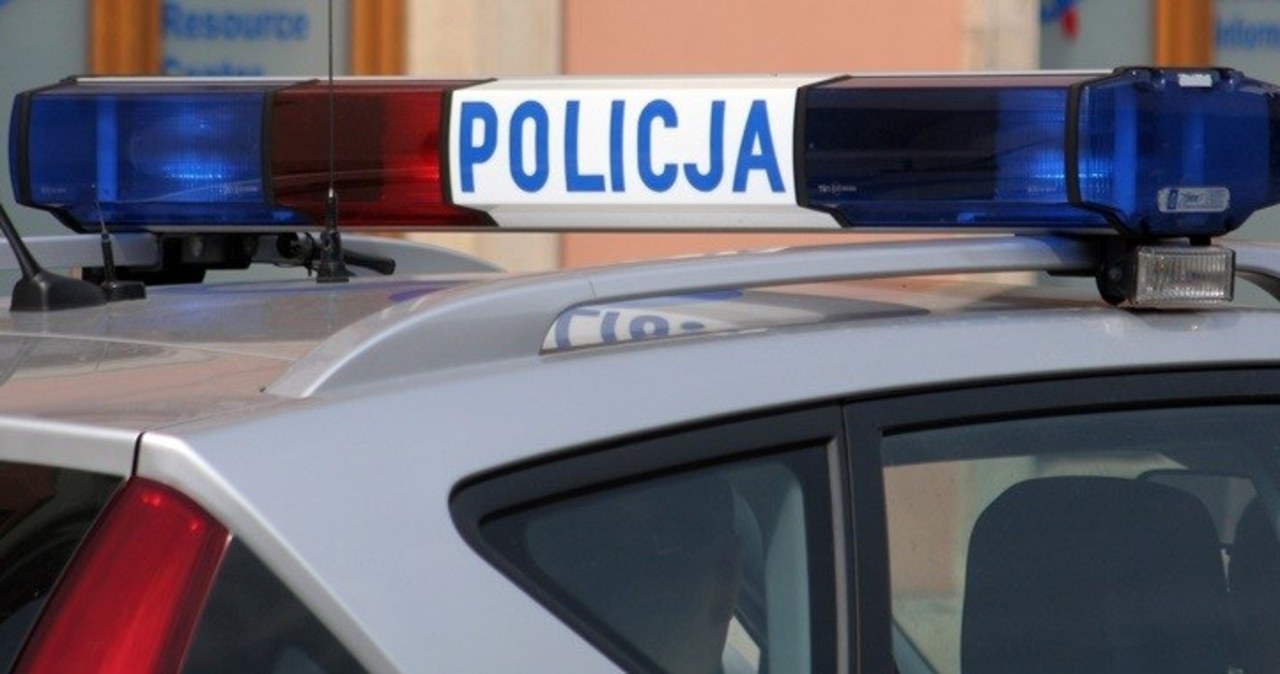 Makabryczne odkrycie koło Skierniewic. Przy krajowej „70” znaleziono ciało