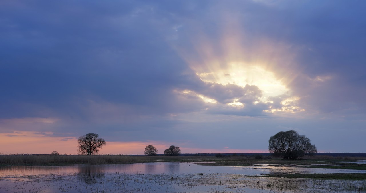 Ostrzeżenia hydrologiczne IMGW: Możliwe przekroczenie stanów alarmowych