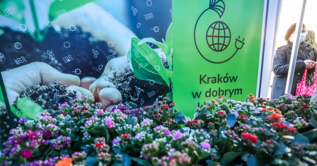 ​Budki i karmniki dla ptaków z recyklingu za elektrośmieci