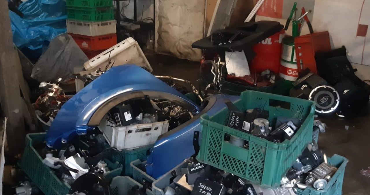 Wielkopolskie: 4 osoby zatrzymane ws. kradzieży samochodów