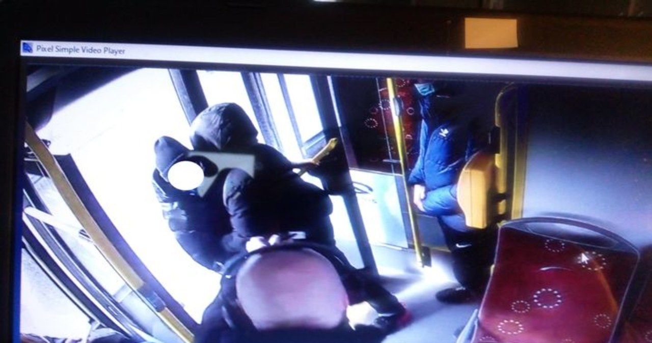 Swarzędz: Wypchnął kontrolerkę biletów z autobusu
