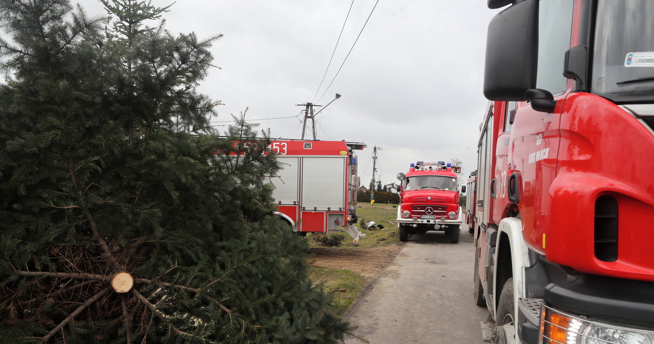 Powalone drzewa i zerwane dachy na Mazowszu. Ponad 2 tys. interwencji