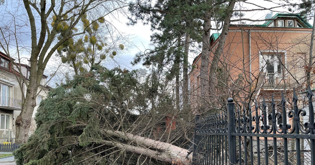 Ostrzeżenia przed silnym wiatrem dla 14 województw. RCB wysłało alerty