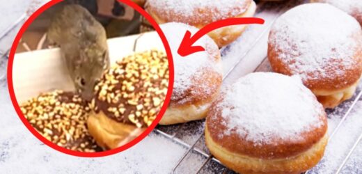 Mysz je pączki w jednym z marketów. Nagranie jest hitem internetu!