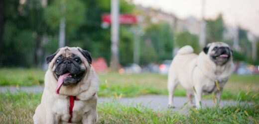 Kolejne podwyżki. Zmiana dotknie mieszkańców wybranych miast