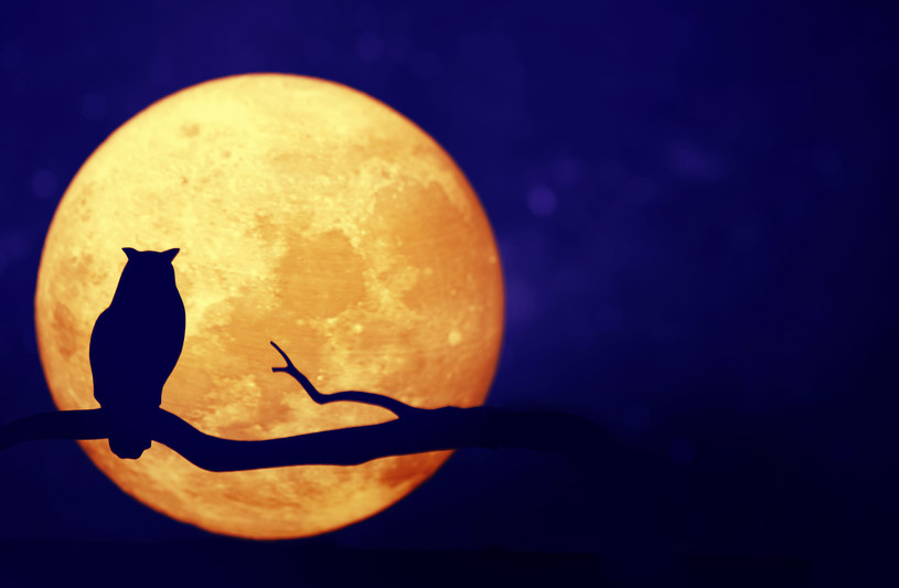 Już dziś październikowa pełnia księżyca. Ostrzeżenie dla czterech znaków zodiaku