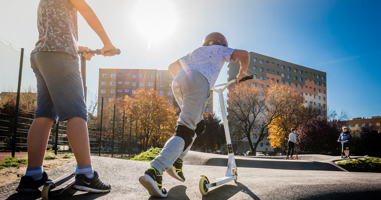 Pawilon dla kotów i pumptrack. Są wyniki głosowania w budżecie obywatelskim Katowic