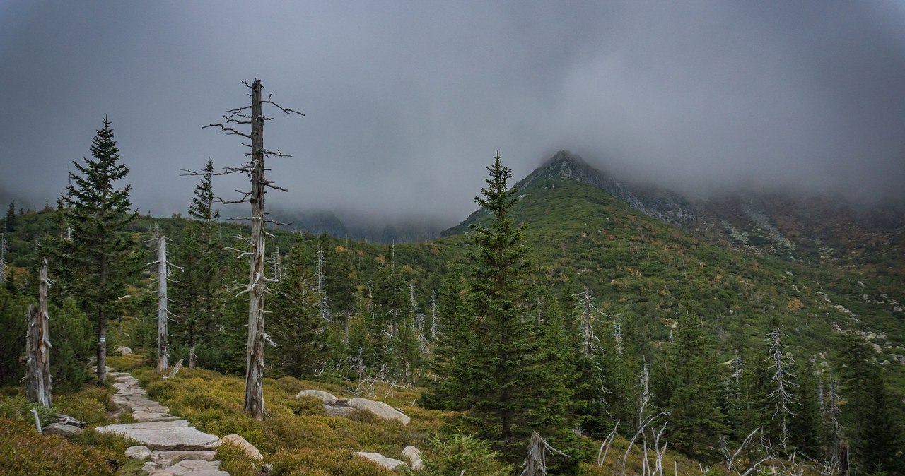Karkonosze: śniegu nie ma, ale wieje silny wiatr