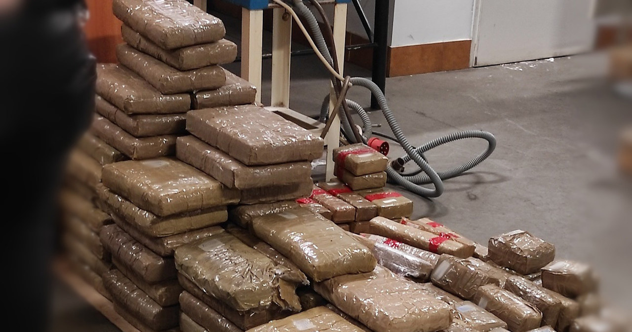 Udaremniony przemyt: Ponad 270 kg haszyszu zamiast mrożonek