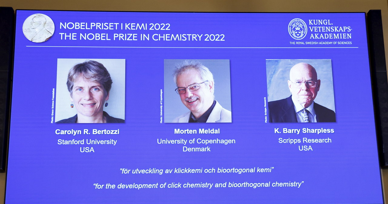 Nobel z chemii za sprytne składanie cząsteczek