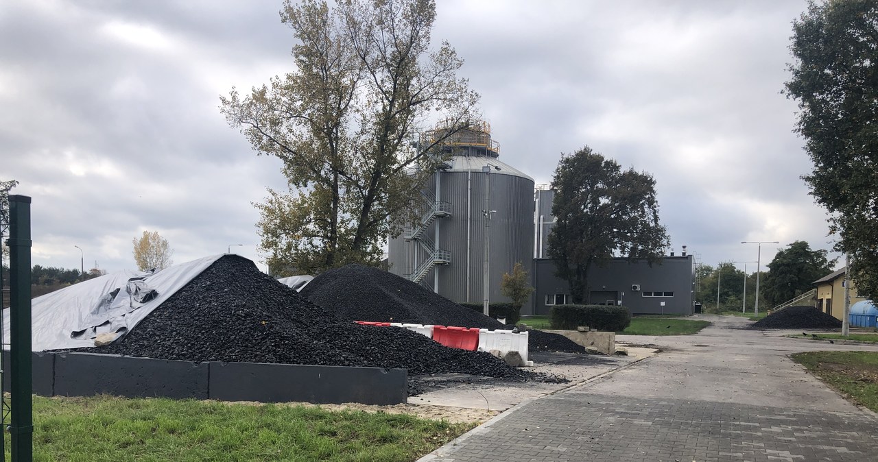 Punkt sprzedaży węgla w Otwocku. Weryfikujemy rządowe zapowiedzi