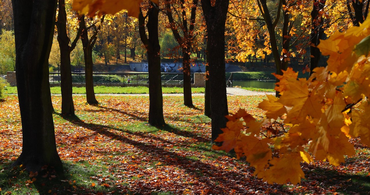 Wtorek słoneczny, tylko na północy kraju zanikające opady deszczu