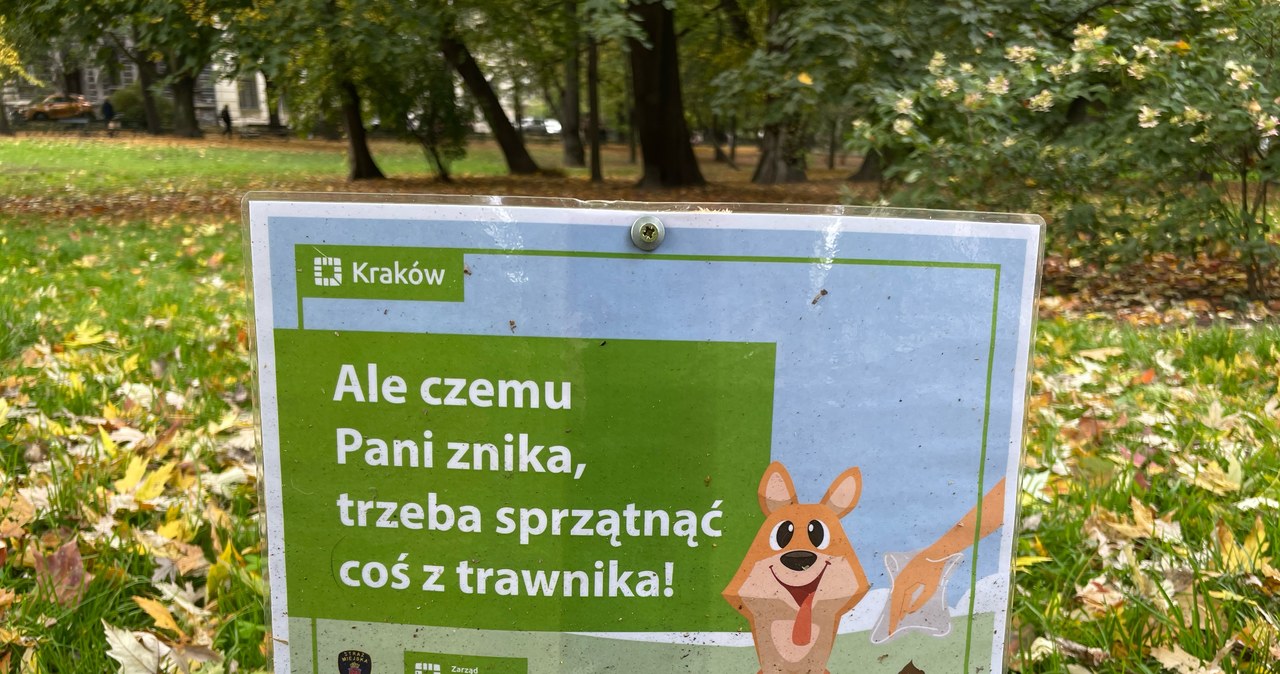 Pamiętasz o sprzątaniu po psie? Kraków zachęca do tego rymowankami
