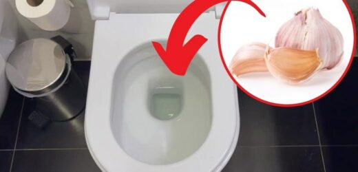 Włóż ząbek czosnku do muszli klozetowej. Efekt cię zaskoczy!