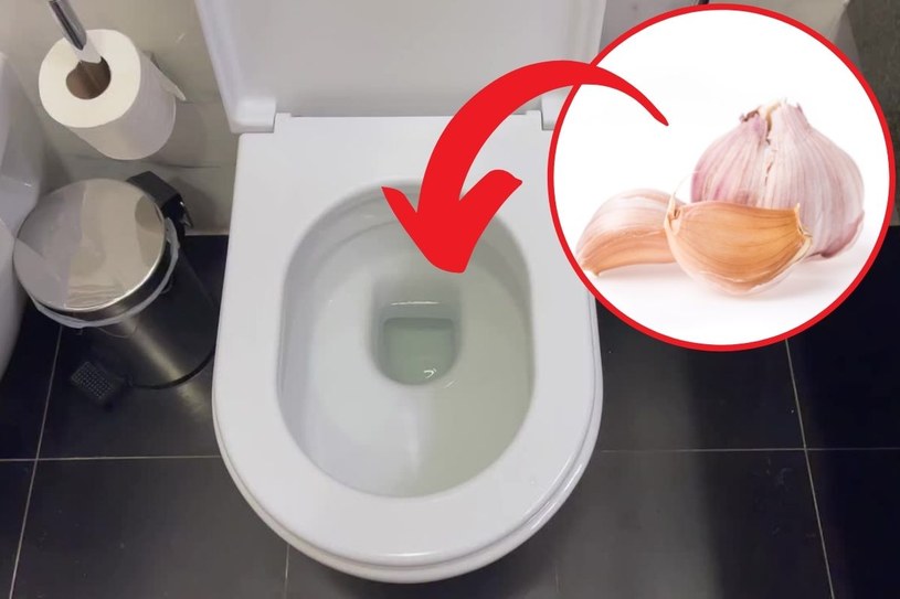 Włóż ząbek czosnku do muszli klozetowej. Efekt cię zaskoczy!