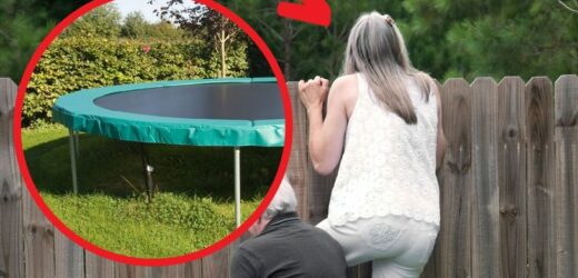 Postawiła wysoki płot, by odgrodzić się od natrętnej sąsiadki. Ta jednak nie ma litości!
