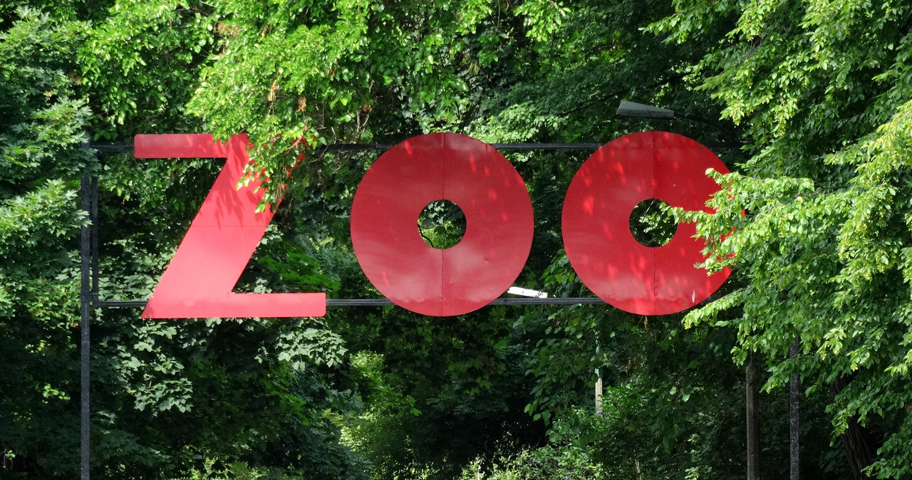 Audioprzewodnik dla dzieci niewidomych. Wkrótce w warszawskim ZOO