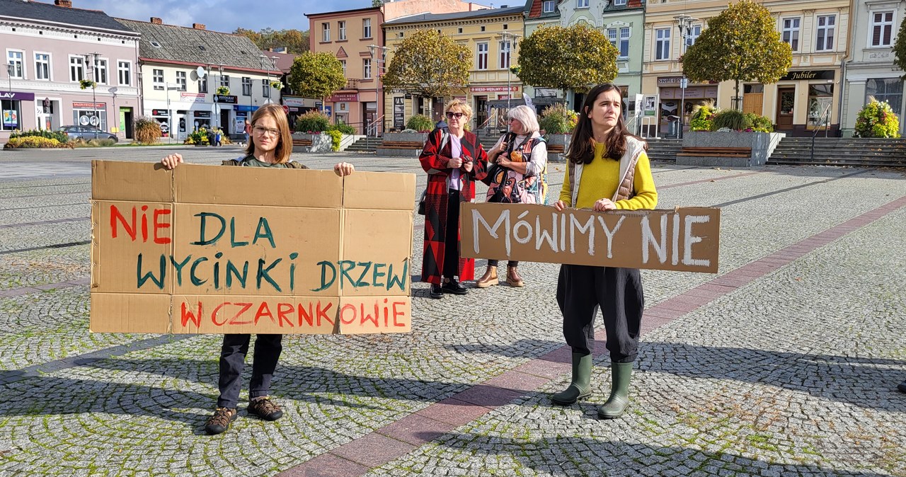 Wielkopolska: Protest przeciwko wycince drzew