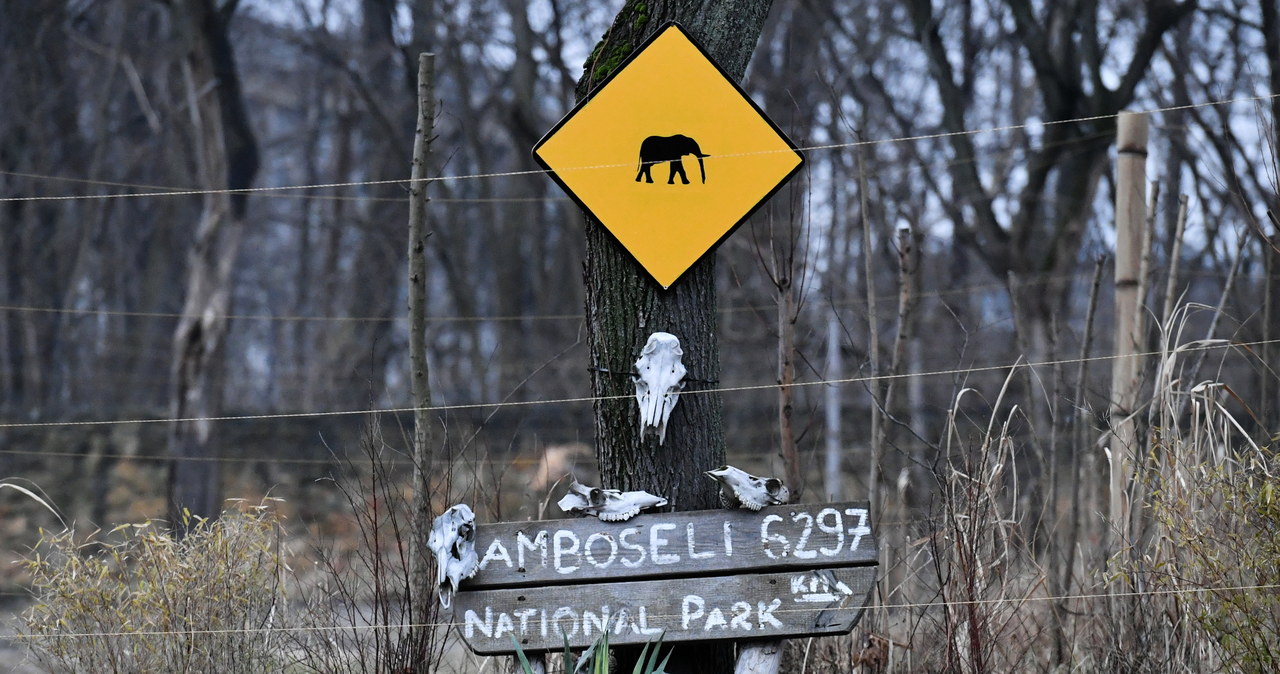Bilety do warszawskiego zoo będą droższe