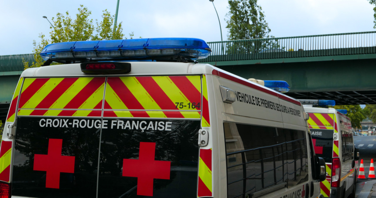 Ciało 12-latki w walizce. Algierska imigrantka oskarżona o zabicie Loli