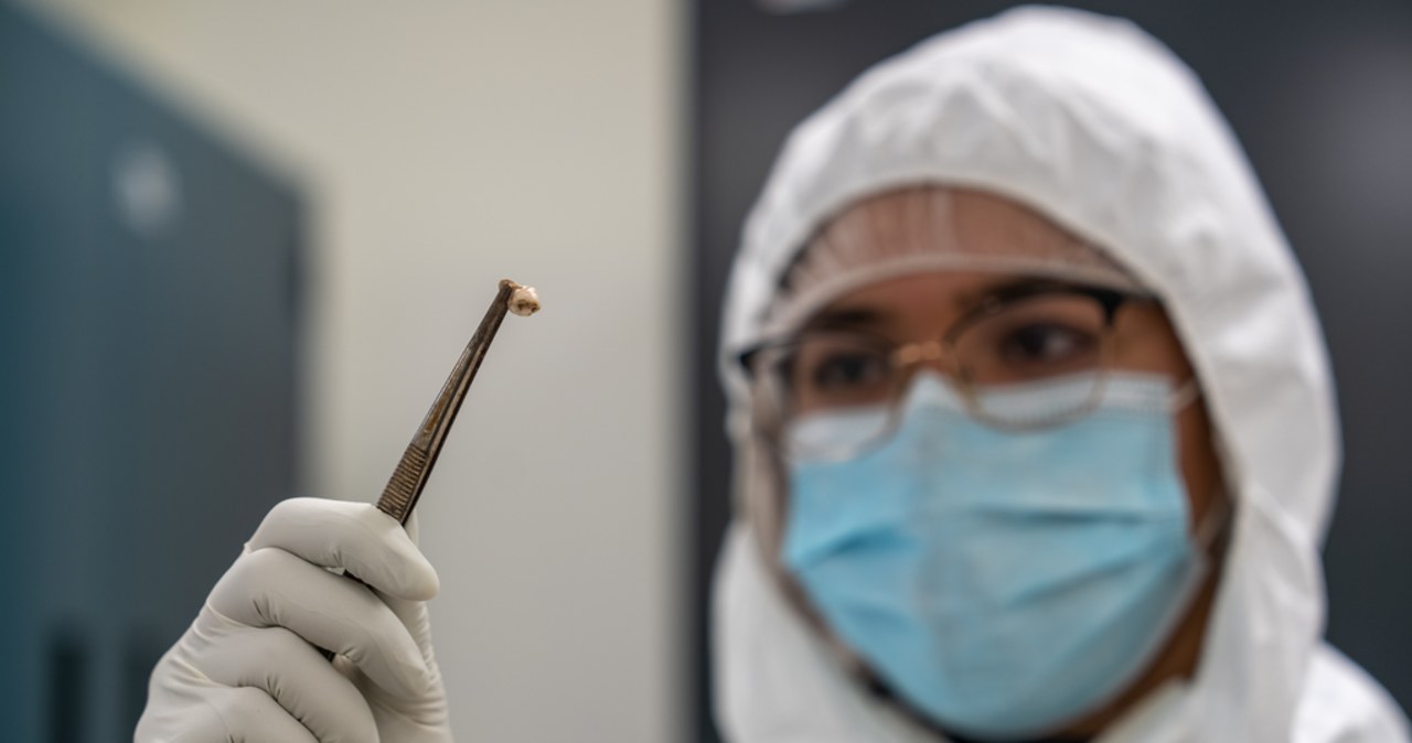 Dżuma zmieniła nam układ odpornościowy