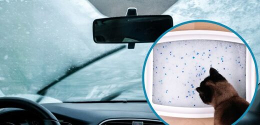 Odwieczny problem wielu kierowców. Sprawę rozwiąże żwirek dla kota