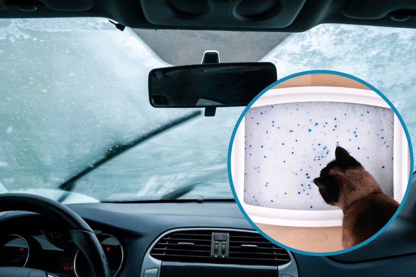 Odwieczny problem wielu kierowców. Sprawę rozwiąże żwirek dla kota