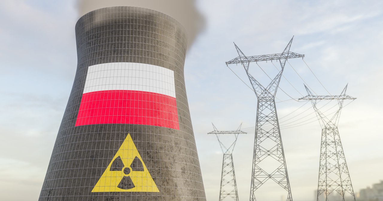 Kupimy elektrownię jądrową od Amerykanów? Sasin w USA: Bardzo duża szansa