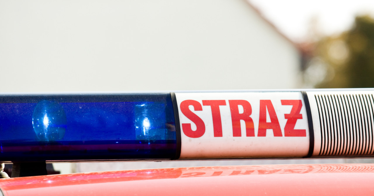 Pożar obory w Wielkopolsce. Zginęło 21 krów