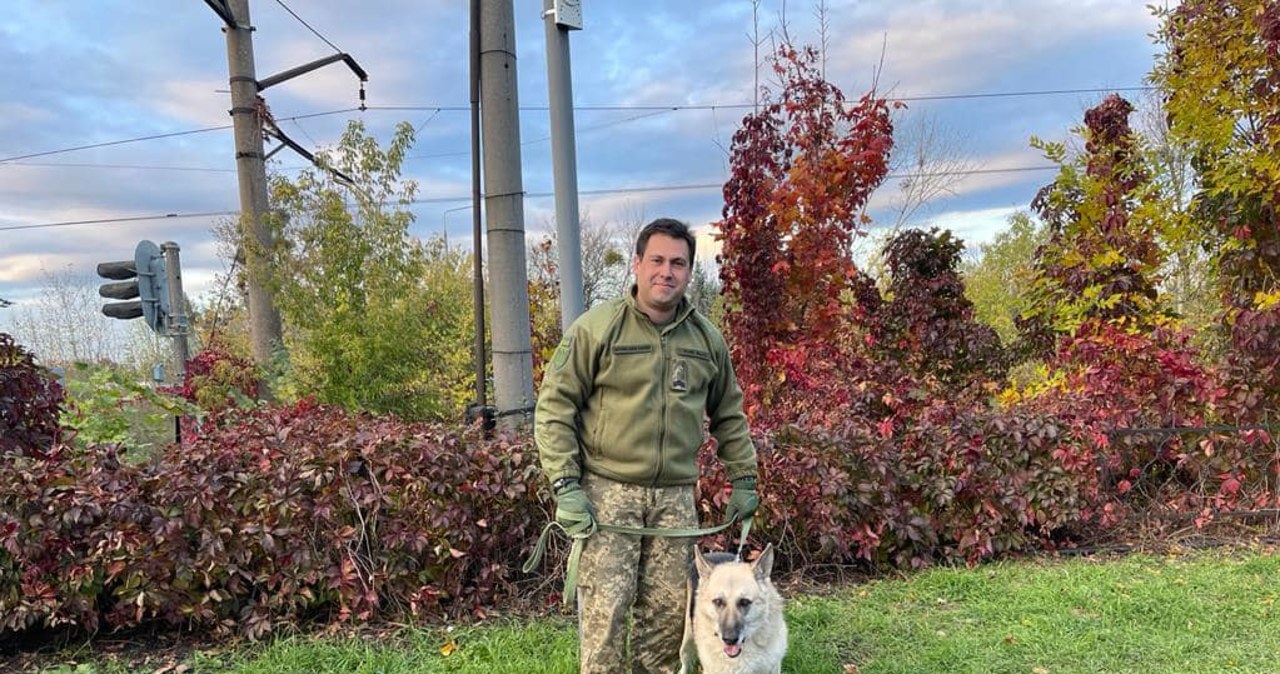 Pies Dżek uratowany z Kupiańska, zamieszka z rodziną Andrei Bocellego