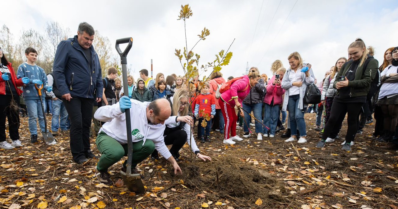 200 drzew posadzonych nad Wisłokiem w Rzeszowie