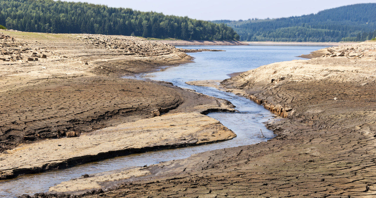 Coraz częściej poważnie chorujemy. Powód? Zmiany klimatyczne